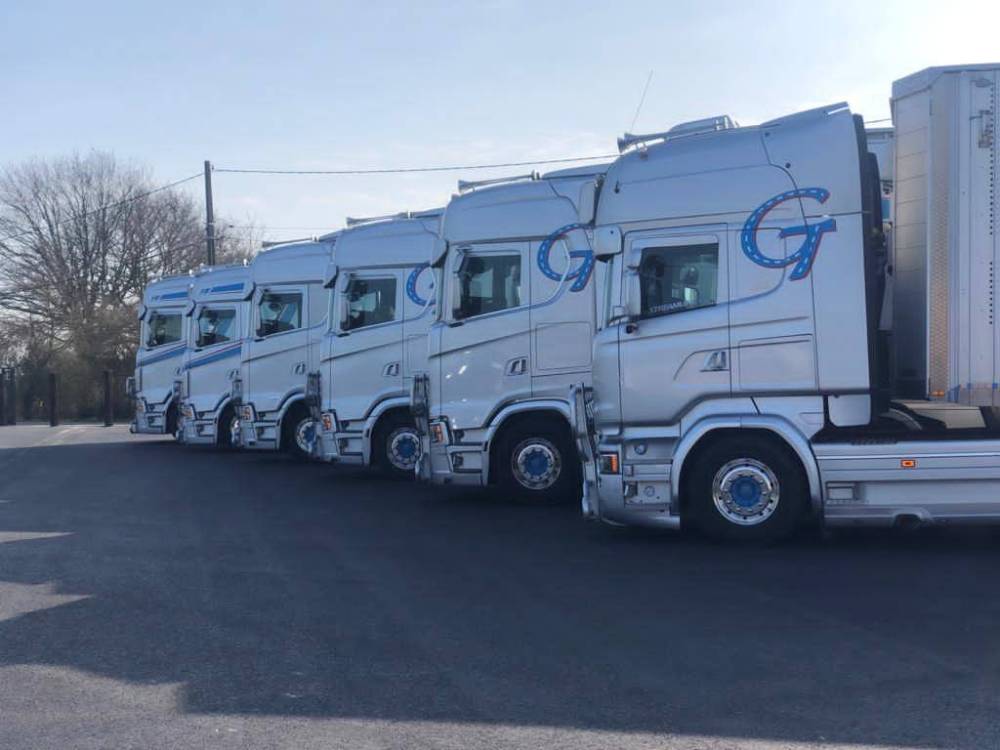 Transports d'animaux près de Chemillé-en-Anjou	