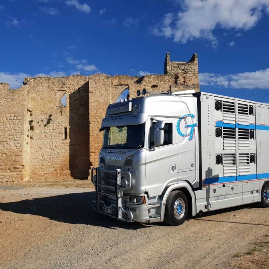 Flotte-camion-transport-animaux-en-France