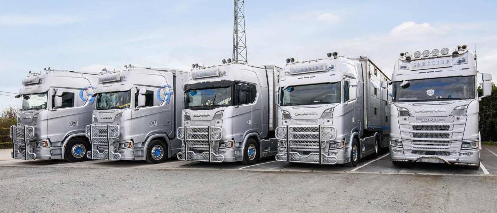 exportation-animaux-en-France-et-en-Europe
