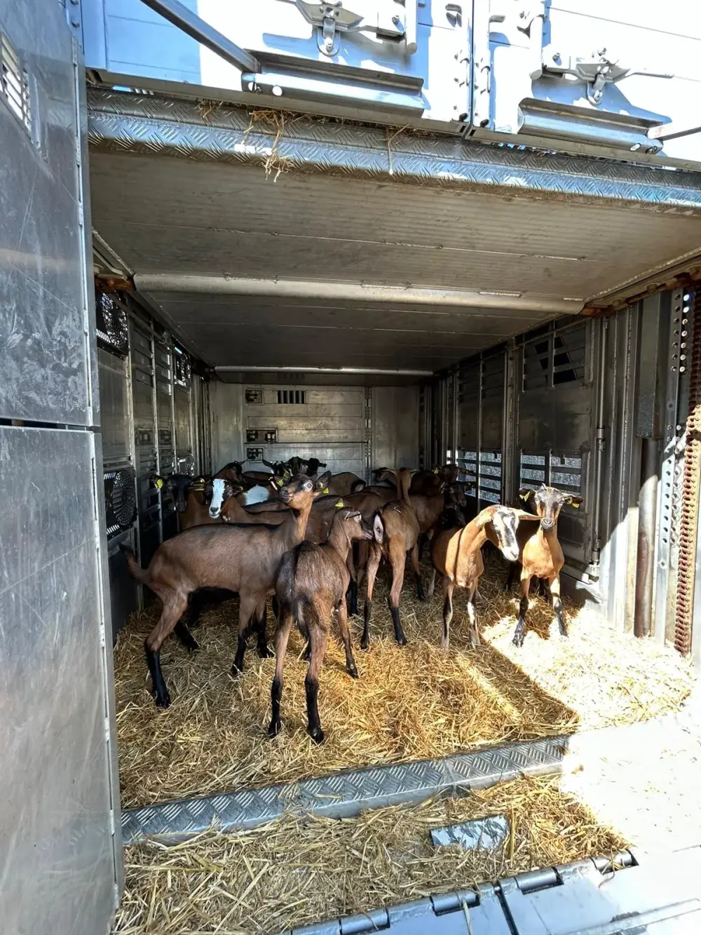 Transport Grégoire - Votre expert du transport rural (23)