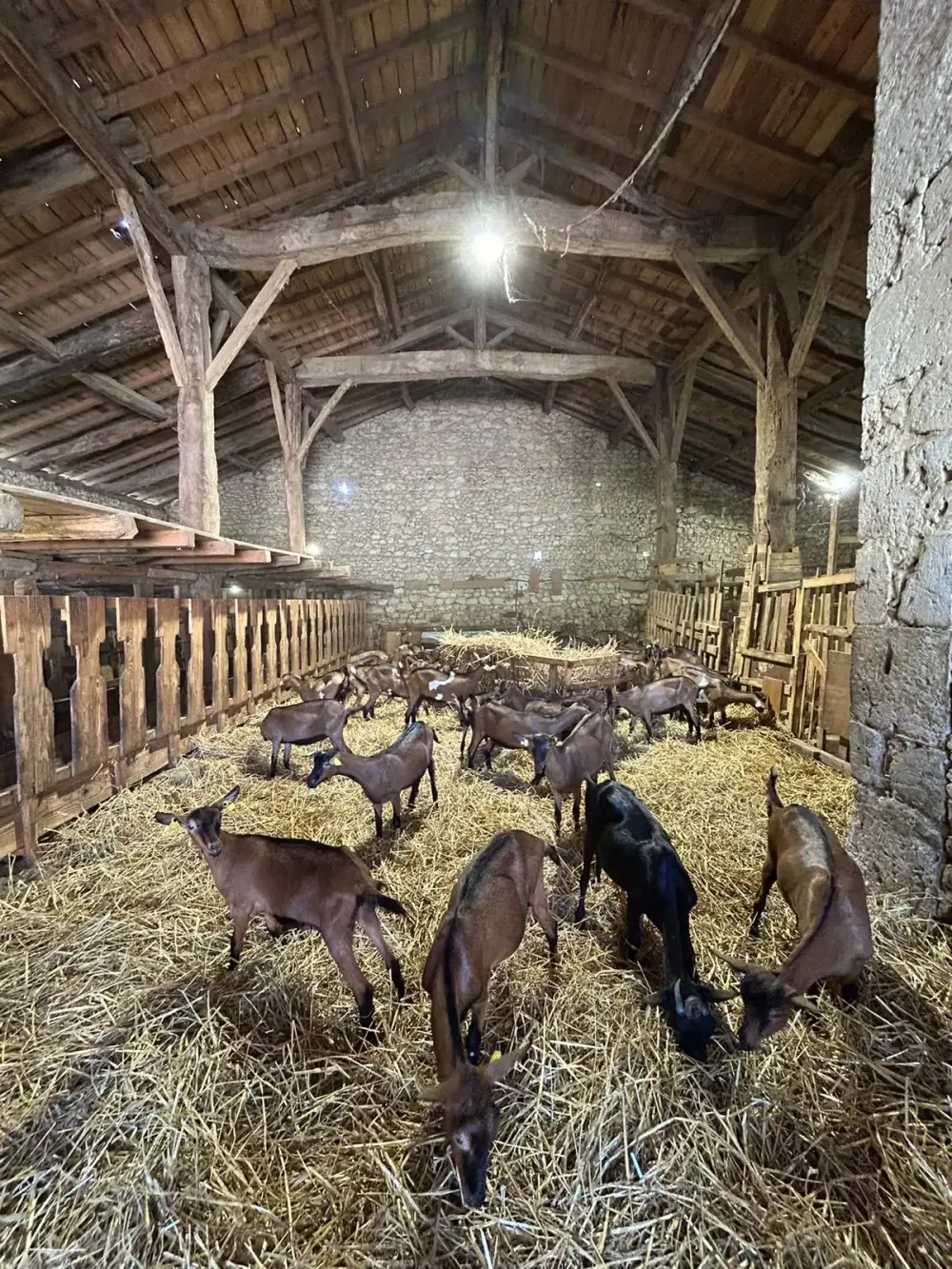 Transport Grégoire - Votre expert du transport rural (25)